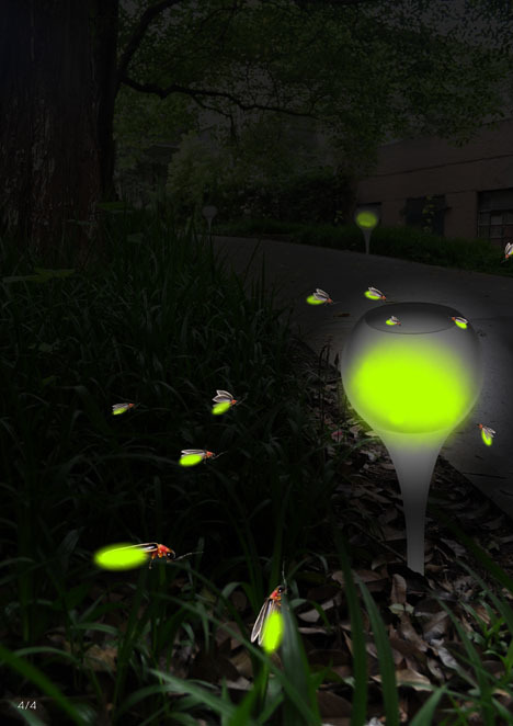 Дом светлячков: красивый и естественный свет от светлячков